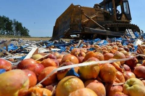 У Росії знищили близько 1,8 тисяч тонн санкційних продуктів