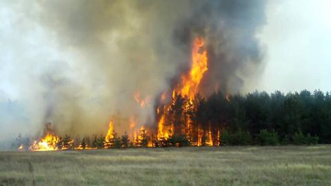 В Росії почався сезон лісових пожеж