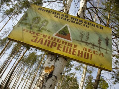 До 8 липня у Києві очікується надзвичайна пожежна небезпека До 8 липня у Києві очікується надзвичайна пожежна небезпека