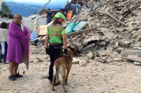 Підтверджено загибель 247 осіб від землетрусу в Італії