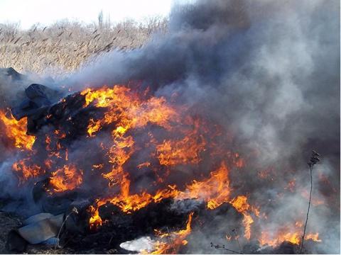 Минулого тижня ліквідовано понад тисячу пожеж в екосистемах