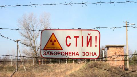 Під ядерний могильник виділили 45 га лісу в Чорнобильській зоні Під ядерний могильник виділили 45 га лісу в Чорнобильській зоні