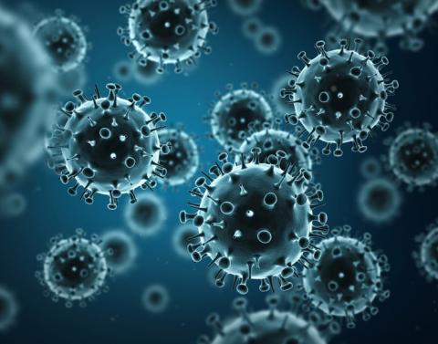 Біологи з'ясували, чому чума досі не зникла