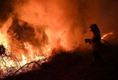 У Португалії та Іспанії зросла кількість жертв лісових пожеж