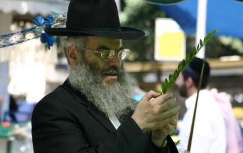 Суккот 2017: іудеї відзначають "свято кущів"