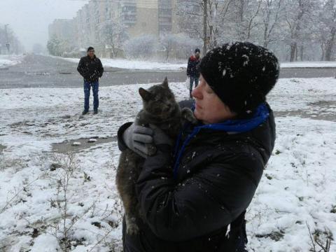 Не дали замерзнути: у Хмельницькій області рятувальники зняли з дерева кота