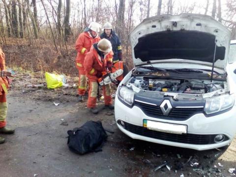 У Житомирській області в ДТП загинуло 2 людини
