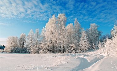 В Україну йде циклон: снігопади, сильний вітер і мороз до -23 °С
