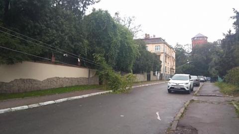 У Львові сильний вітер позривав зупинки транспорту, повалив дерева