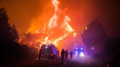 У Португалії спалахнула масштабна лісова пожежа, сотні евакуйованих