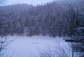Українська зимова казка: заповідник «Синевир» засипало снігом