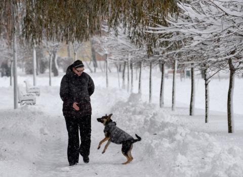У найближчі дні в Україні – сильні морози та хуртовини