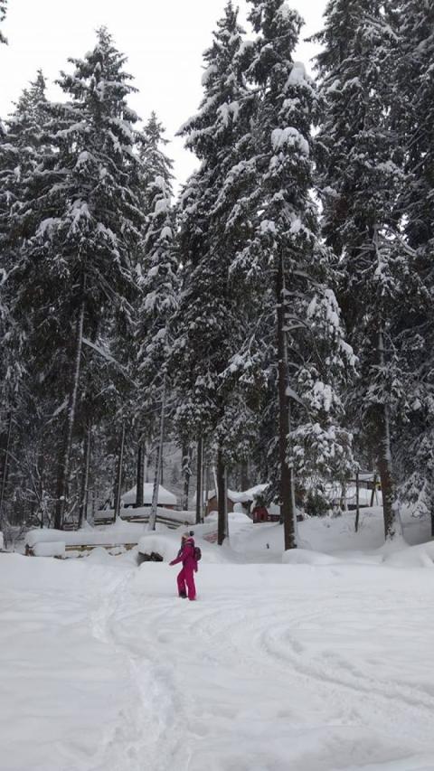 Українська зимова казка: заповідник «Синевир» засипало снігом