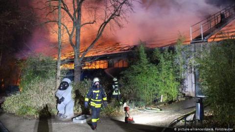 Три родички зізналися у спричиненні трагічної пожежі в німецькому зоопарку
