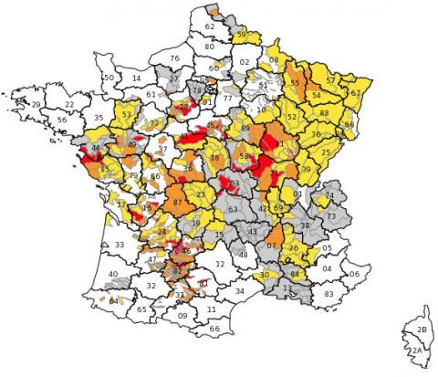 У низці районів Франції обмежують споживання води через посуху