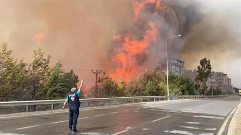 У Туреччині в результаті лісових пожеж постраждали 10 осіб