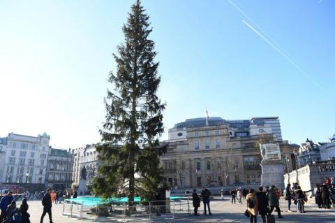 Лондонці висміяли подаровану Норвегією "обгризену" ялинку на Трафальгарській площі