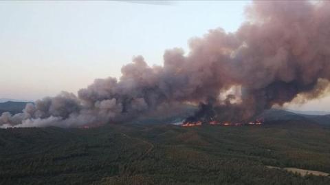 У Туреччині спалахнула масштабна лісова пожежа у тому ж районі, що й минулого року