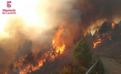 На сході Іспанії через лісову пожежу евакуювали сотні людей