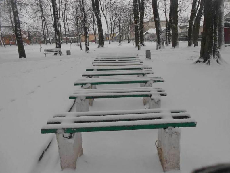 Таємниця кота в мішку Таємниця кота в мішку