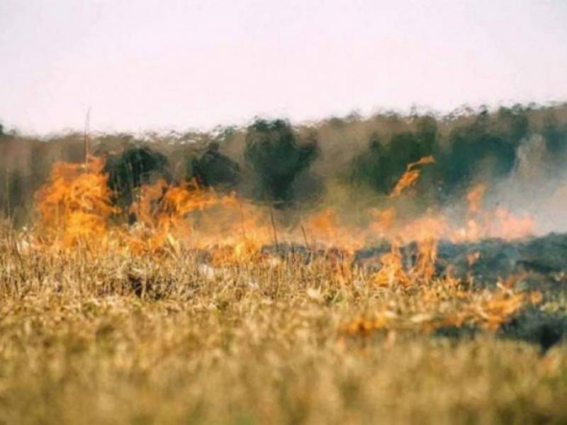 В семи областях України зберігається надзвичайна пожежна небезпека