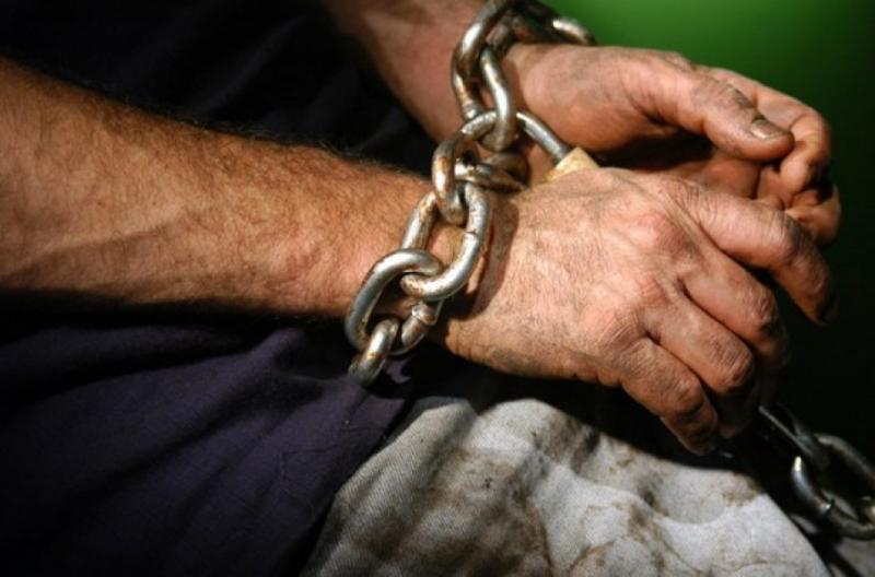 Поліцейські виявили майже 250 злочинів у сфері торгівлі людьми за сім місяців, – МВС